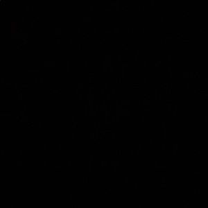 Meet your Posher, Bri